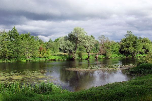 1024px Nature of Volgograd Oblast 003 600