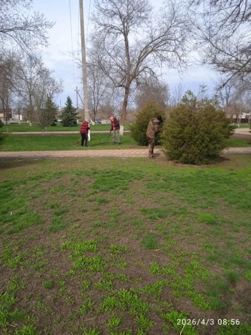 image 06 04 26 11 10